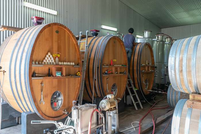 _DSC0046 - GALLERY.JPG